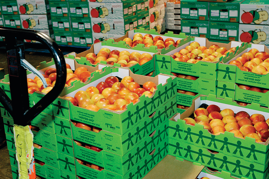 Fresh produce and food products import services